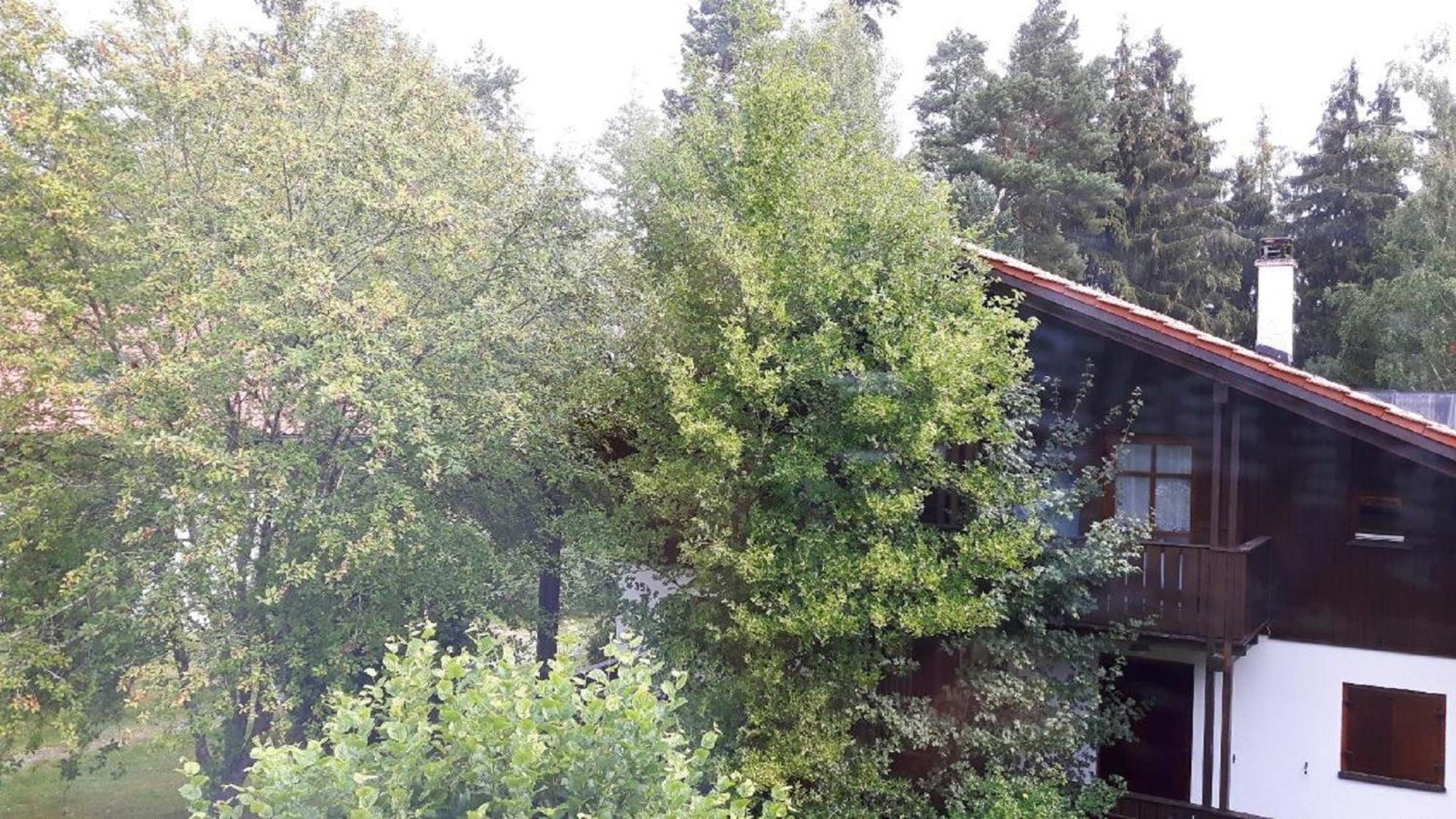 Ferienhaus Virzi - Waldferiendorf Regen Buitenkant foto